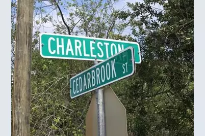 1731 Charleston Street, Lake Placid, FL 33852 - Photo 6