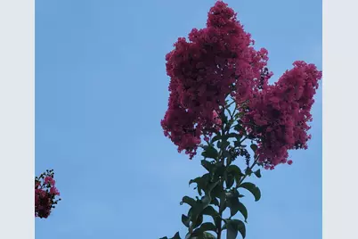 1650 N 42nd Circle #206, Vero Beach, FL 32967 - Photo 48