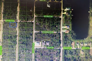 314 NW Spitfire Street NW, Lake Placid, FL 33852 - Photo 1