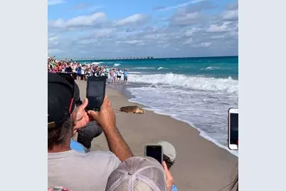 204 Mainsail Circle, Jupiter, FL 33477 - Photo 60