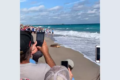 303 Mainsail Circle, Jupiter, FL 33477 - Photo 56