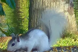 1025 Roberts Ln NE, Moore Haven, FL 33471 - Photo 30