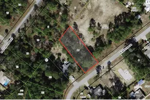 9131 N Bertin Dr, Citrus Springs, FL 34434 - Photo 1