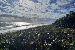 708 Mainsail Cir, Jupiter, FL 33477 - Photo 18