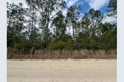 215 Royal Avenue, Interlachen, FL 32148 - Photo 2