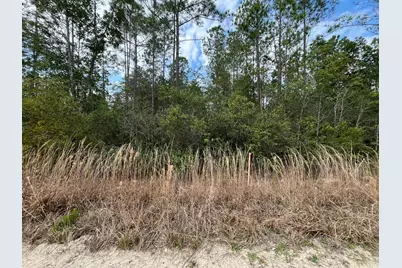 215 Royal Avenue, Interlachen, FL 32148 - Photo 6
