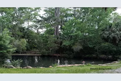 215 Royal Avenue, Interlachen, FL 32148 - Photo 10