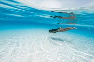 13965 Willow Cay Dr, Juno Beach, FL 33408 - Photo 84