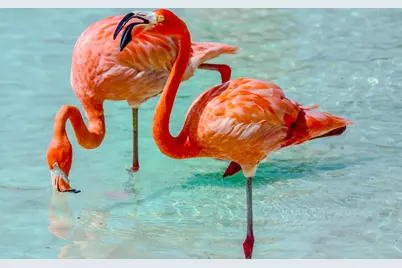 13965 Willow Cay Drive, Juno Beach, FL 33408 - Photo 92