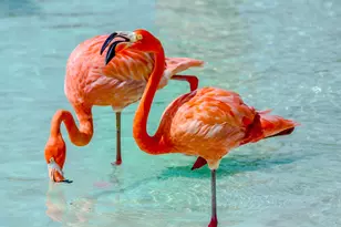 13965 Willow Cay Dr, Juno Beach, FL 33408 - Photo 92