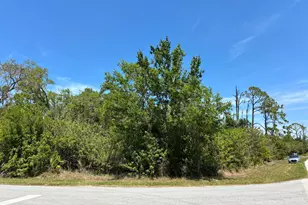14526 Rowan Ave, Port Charlotte, FL 33953 - Photo 1