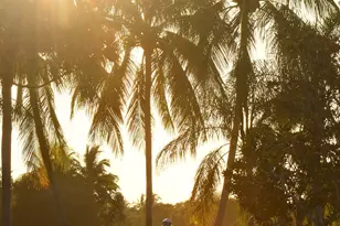 7701 Pine Island Way, West Palm Beach, FL 33411 - Photo 36