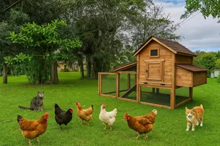 8671 155th Pl N, Palm Beach Gardens, FL 33418 - Photo 32