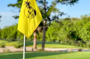 7982 SE Hempstead Cir, Hobe Sound, FL 33455 - Photo 48