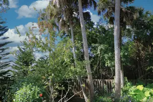 2142 SW Jaguar Ave, Port Saint Lucie, FL 34953 - Photo 52