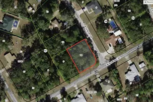 1021 W Almont Pl, Citrus Springs, FL 34434 - Photo 1