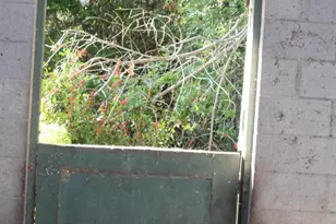 14550 99th St, Fellsmere, FL 32948 - Photo 26