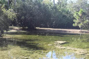 14550 99th St, Fellsmere, FL 32948 - Photo 94