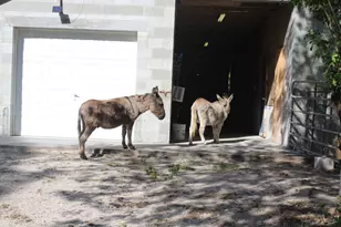 14550 99th St, Fellsmere, FL 32948 - Photo 24