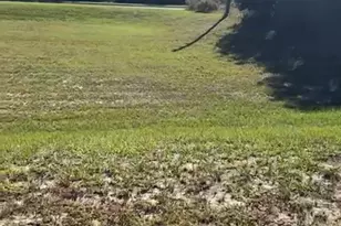 4017 SW 133rd Loop, Ocala, FL 34473 - Photo 1