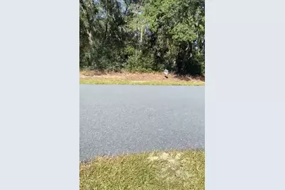 4017 SW 133rd Loop, Ocala, FL 34473 - Photo 2