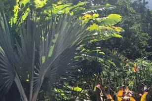 3180 NW 6th Ave, Oakland Park, FL 33309 - Photo 30