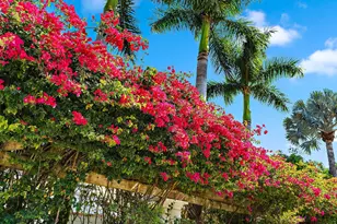 6196 NW Cullen Way, Port Saint Lucie, FL 34983 - Photo 10