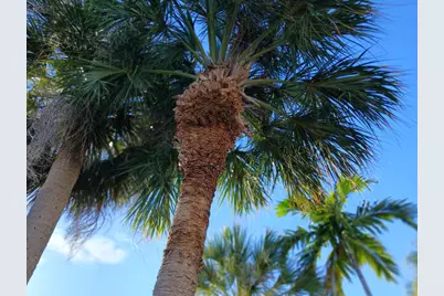 205 18th Avenue N, Lake Worth, FL 33460 - Photo 60