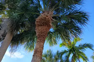 205 18th Ave N, Lake Worth, FL 33460 - Photo 60