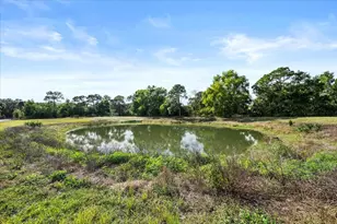 19187 Capet Creek Ct, Loxahatchee, FL 33470 - Photo 38