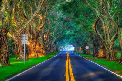 8502 SE Royal Street, Hobe Sound, FL 33455 - Photo 42