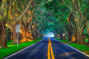 8502 SE Royal St, Hobe Sound, FL 33455 - Photo 42