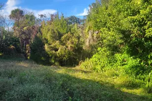 1817 Palm Blvd, Melbourne, FL 32901 - Photo 30