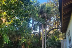 1817 Palm Blvd, Melbourne, FL 32901 - Photo 28