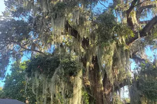 1817 Palm Blvd, Melbourne, FL 32901 - Photo 2