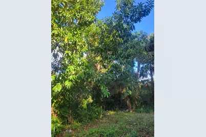 1817 Palm Boulevard, Melbourne, FL 32901 - Photo 26