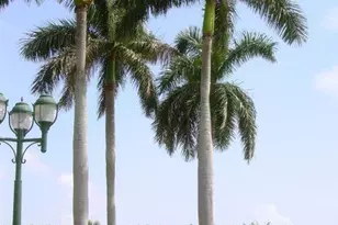 17061 Emile St, Boca Raton, FL 33487 - Photo 24