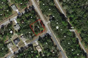 125 W Ruska Pl, Citrus Springs, FL 34434 - Photo 1