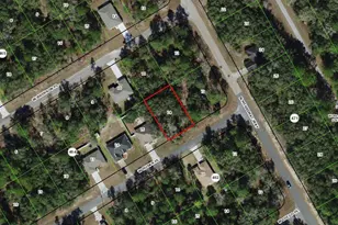 141 W Ruska Pl, Citrus Springs, FL 34434 - Photo 1