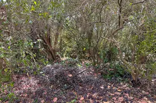 3358 S Jog Rd, Greenacres, FL 33467 - Photo 2