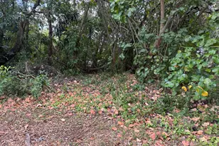 3358 S Jog Rd, Greenacres, FL 33467 - Photo 8