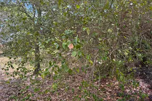 3358 S Jog Rd, Greenacres, FL 33467 - Photo 12