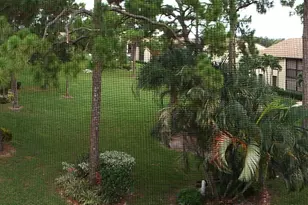 819 Sky Pine Way, Greenacres, FL 33415 - Photo 6