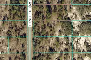 Tbd Lot 32 SW Lobelia Ct, Dunnellon, FL 34431 - Photo 1