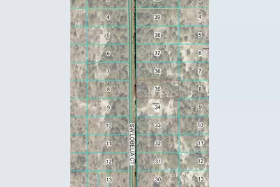 Tbd Lot 35 SW Lobelia Court, Dunnellon, FL 34431 - Photo 4