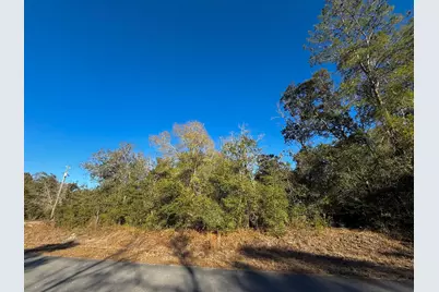 Tbd Lot 35 SW Lobelia Court, Dunnellon, FL 34431 - Photo 6