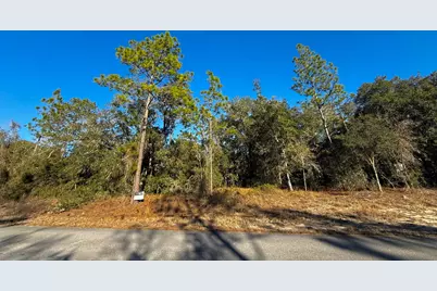 Tbd Lot 35 SW Lobelia Court, Dunnellon, FL 34431 - Photo 8