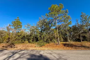 Tbd Lot 35 SW Lobelia Ct, Dunnellon, FL 34431 - Photo 1
