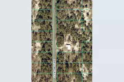 Tbd Lot 35 SW Lobelia Court, Dunnellon, FL 34431 - Photo 2