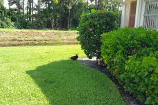 2509 Dudley Dr W, West Palm Beach, FL 33415 - Photo 24